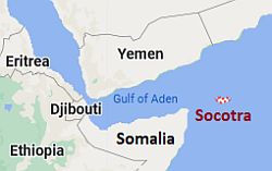 Socotra, où se trouve