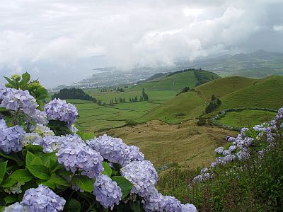 Paysage dans les Açores