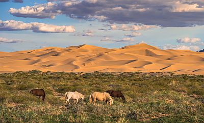 Désert de Gobi