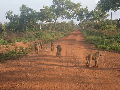 nord du Ghana