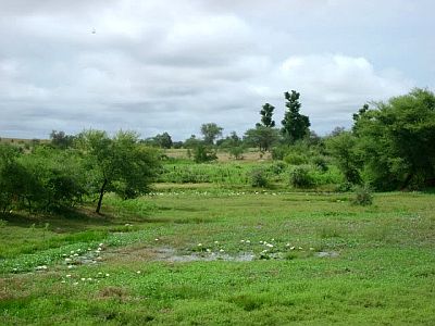 Guidimakha, paysage d'été