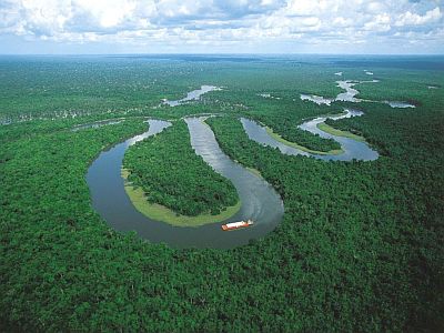 Forêt amazonienne dans la région d'Iquitos