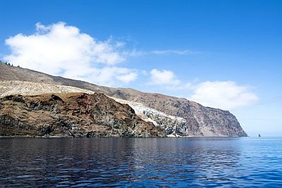 Isla Guadalupe