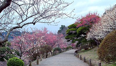 Jardin du Kairakuen