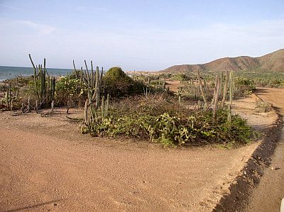 Péninsule de Macanao