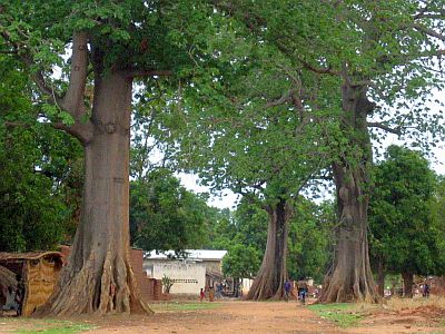 Moissala, Tchad