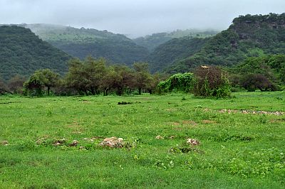 Montagnes Dhofar