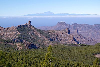 Paysage de Pico de las Nieves, le Teide en arrière-plan