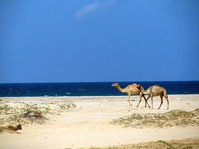 Plage au Somaliland