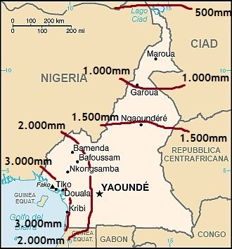 Precipitations au Cameroun