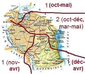 Saisons des pluies en Tanzanie