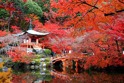 Temple à Kyoto en automne