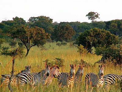 Parc national de Kafue