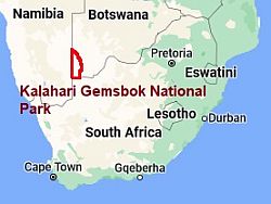 Kalahari Gemsbok, où se trouve