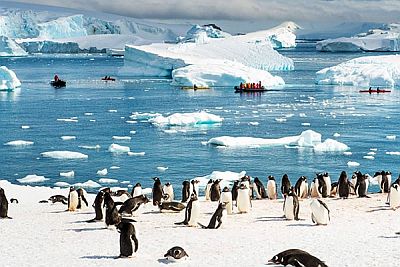 Voyage en Antarctique