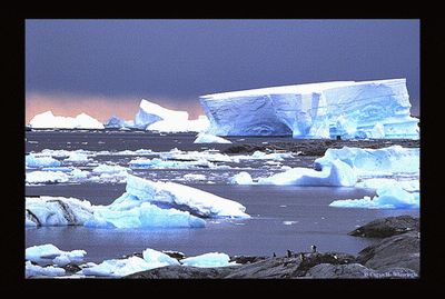 Icebergs dans l'Antarctique