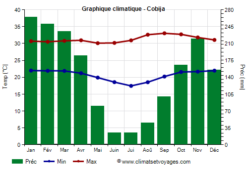 Graphique climatique - Cobija