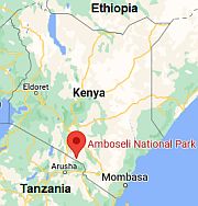 Amboseli, où se trouve
