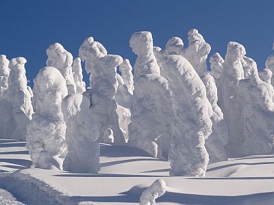 Monstres de neige sur le mont Zao