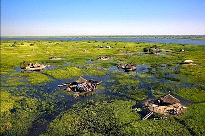 Sudd, une vaste zone marécageuse