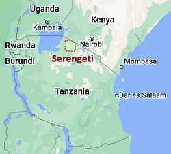 Serengeti, où se trouve