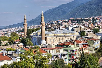 Bursa